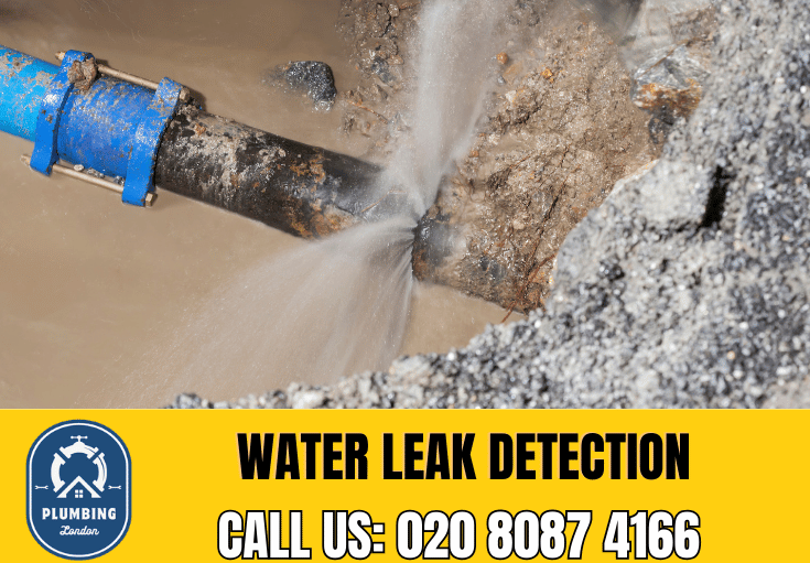 leak detection Holland Park